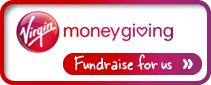 211x85 fundraise