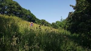 Dartmoor Rescue Ashburton team members searching difficult ground around Kennford near Exeter during the hottest weekend of the year