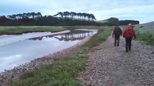 Overnight search for Budleigh woman in East Devon
