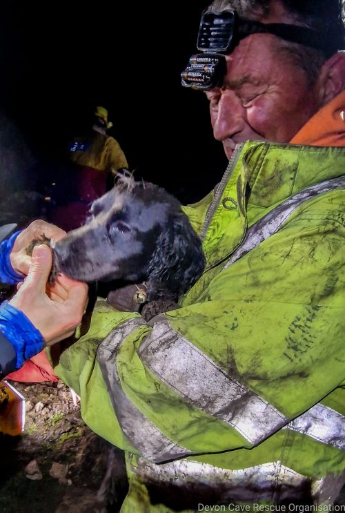 Trapped dog – Haytor Quarry | Dartmoor Search and Rescue Ashburton